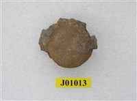 藏品(生痕化石)的圖片